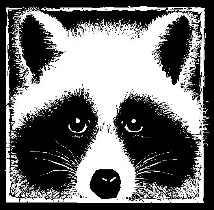 Merlefest Racoon 2019 MerleFest Lineup | Evolution of a Fan
